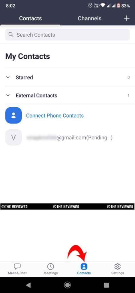 contacts information tab or option in zoom app